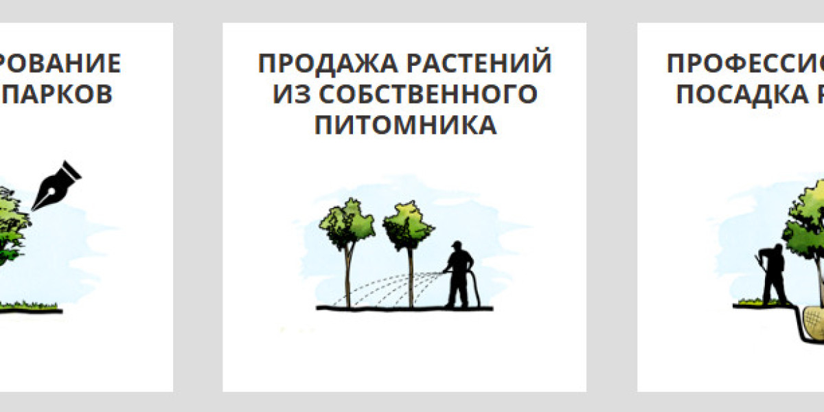 Article Picture