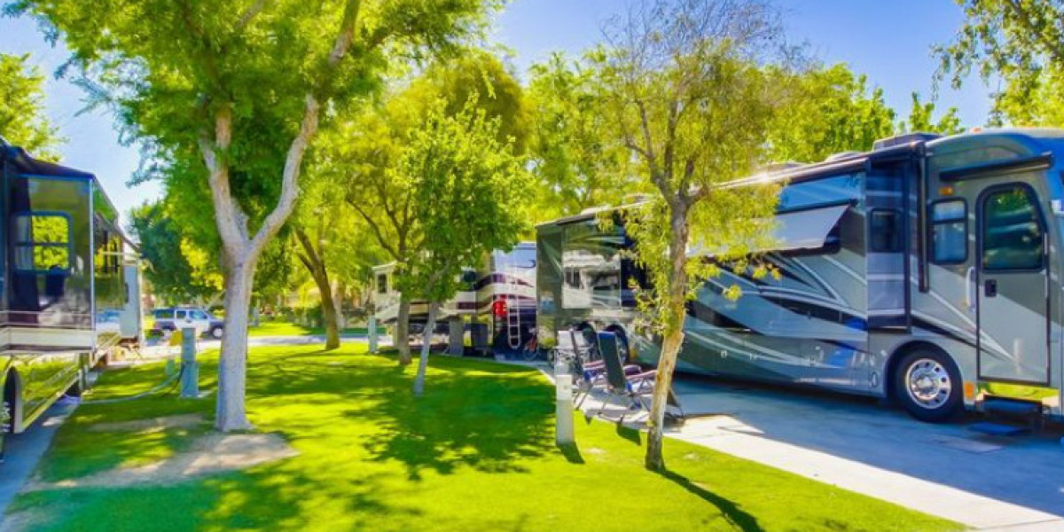 Discovering a Luxury RV Park and Campground in Steinhatchee, Florida