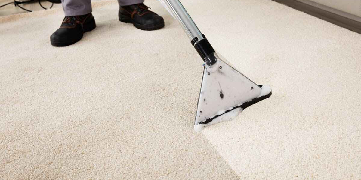 Why Lakewood Homeowners Choose Professional Carpet Washing Services