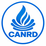 Canrud Polyelectrolyte coated nanoparti Profile Picture