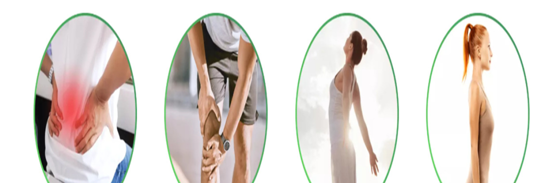 The Holistic Move Cover Image